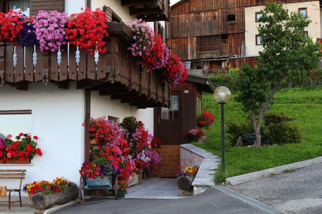 Piccola Suite Sul Civetta Colle Santa Lucia Luaran gambar